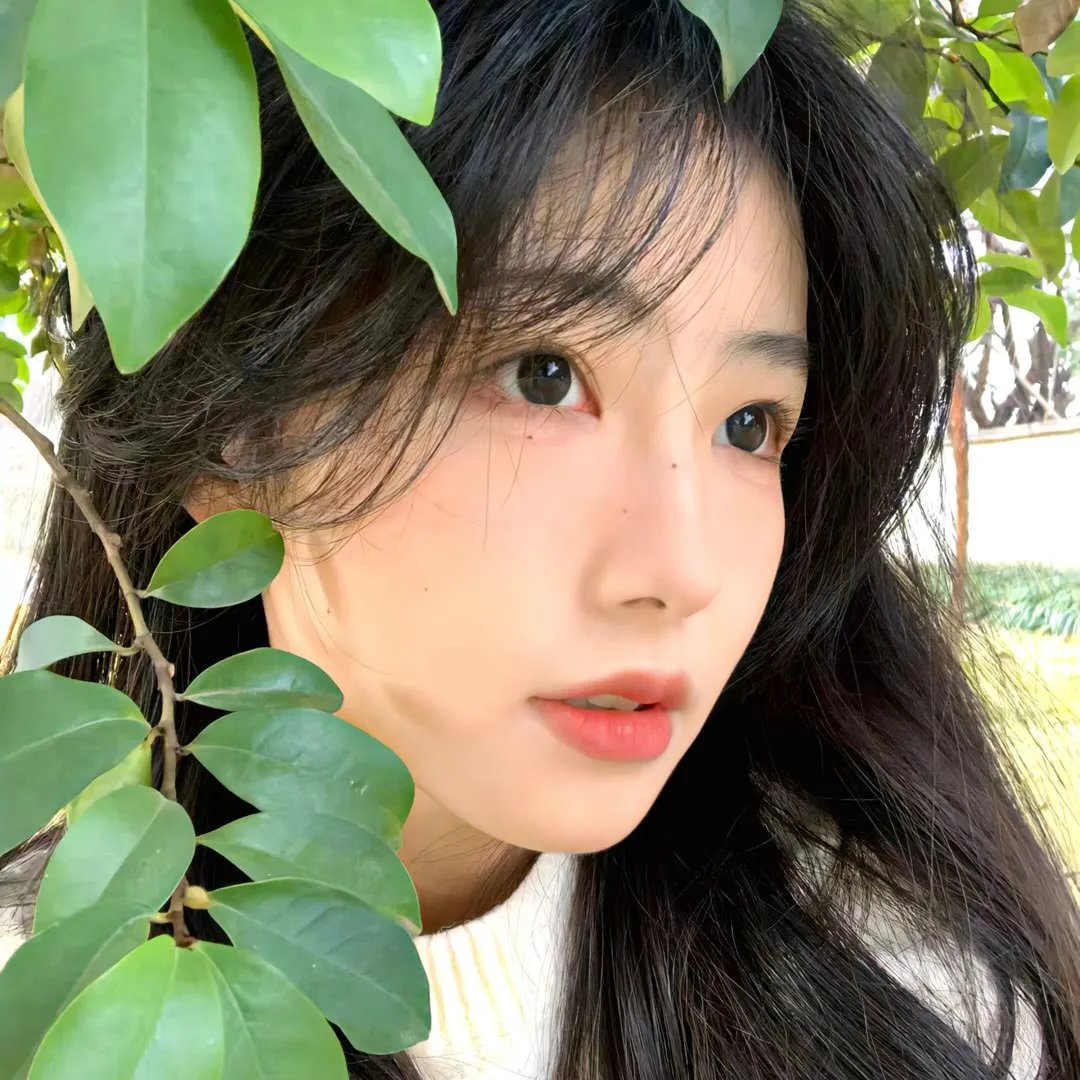 真相至上